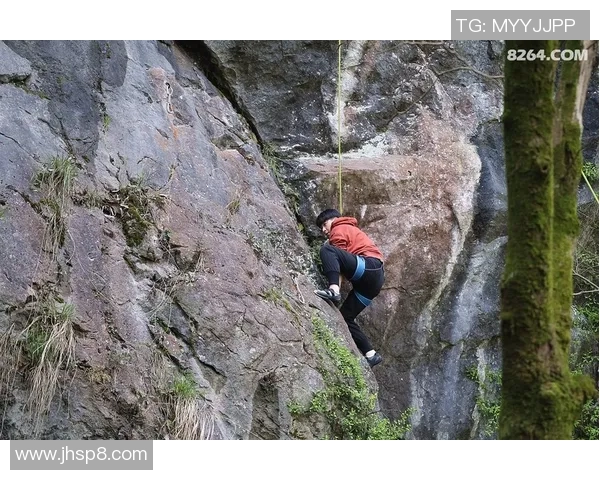 杭州攀岩队区域防守分析与战术调整探讨